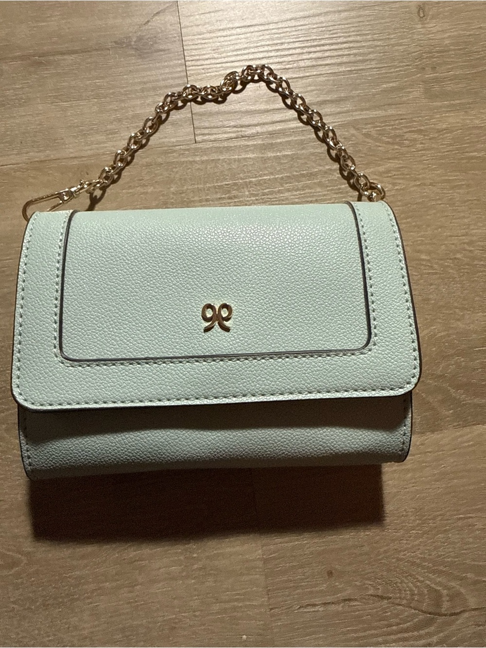 Gold-Accent Mint Green Chain Crossbody Bag